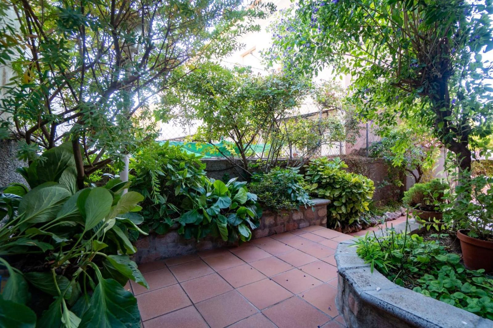 הוילה מונאצ'יל La Casita De Gracia מראה חיצוני תמונה